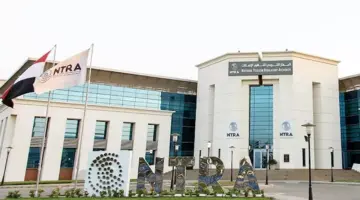 العمل من المنزل يوم الأحد.. هل تتحمل شبكات الاتصالات والإنترنت ضغط الاستخدام؟